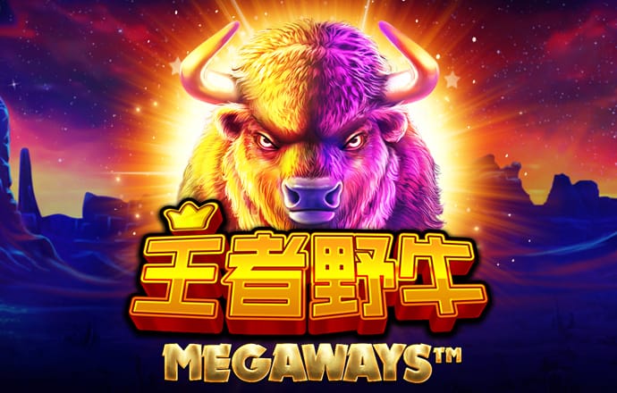 今年会官网登录
